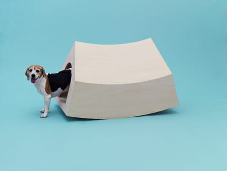 ARCHITECTURE FOR DOGS 犬のための建築