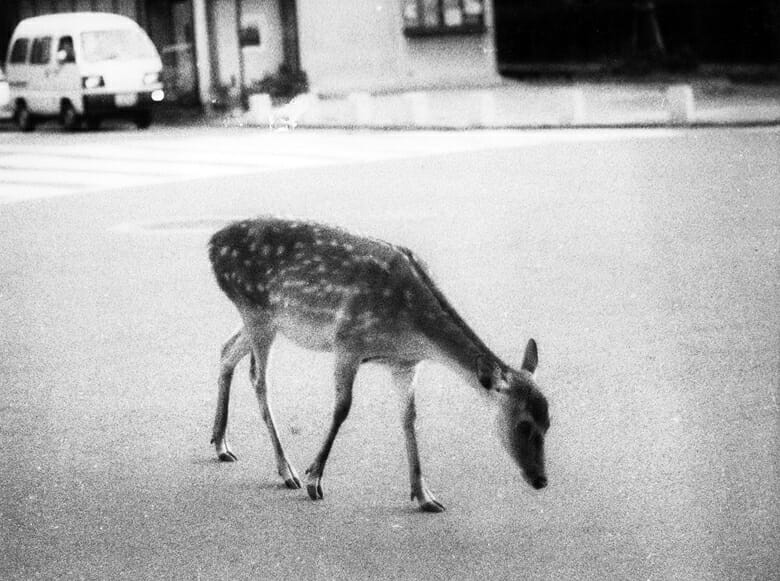 《対称性と⾝体構造》より 2005 年© Jochen Lempert. Courtesy BQ, Berlin and ProjecteSD, Barcelona