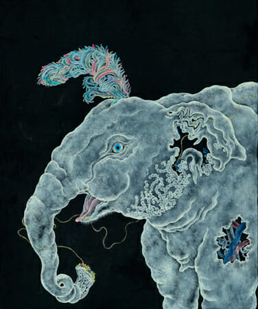 HAMADARAKA 「MYSTICATROPICO」