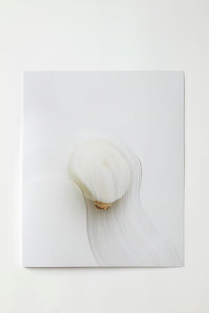 Nerhol / Slicing the Onion