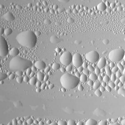 井上織衣 個展 「現象 PHÉNOMÈNES」