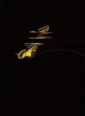 毛利悠子個展「Pleated Image」
