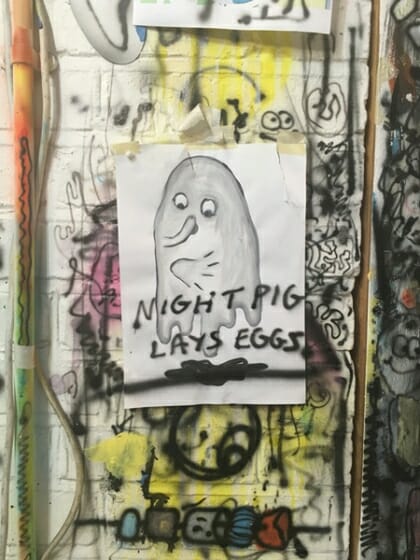 NIGHT PIG LAYS EGGS