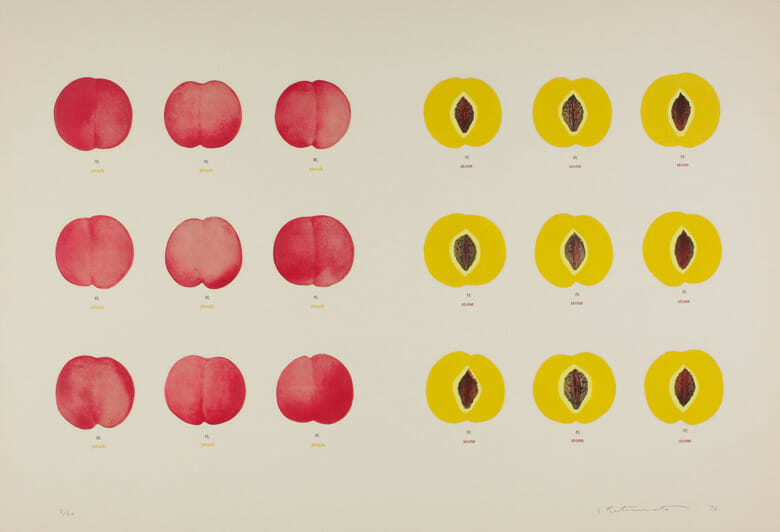 松本旻《植物図鑑　桃－B》1972年