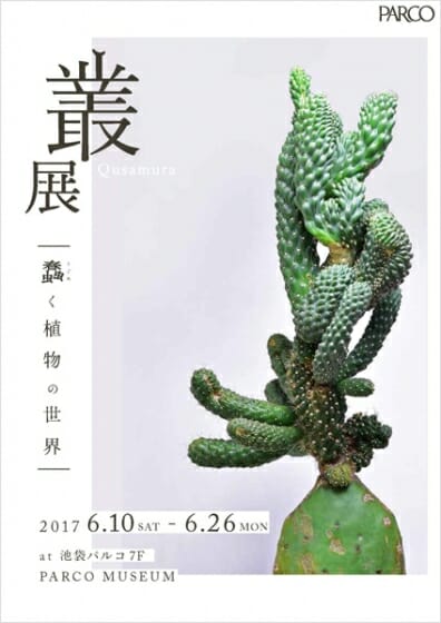 叢 – Qusamura 展 ～蠢く植物の世界～