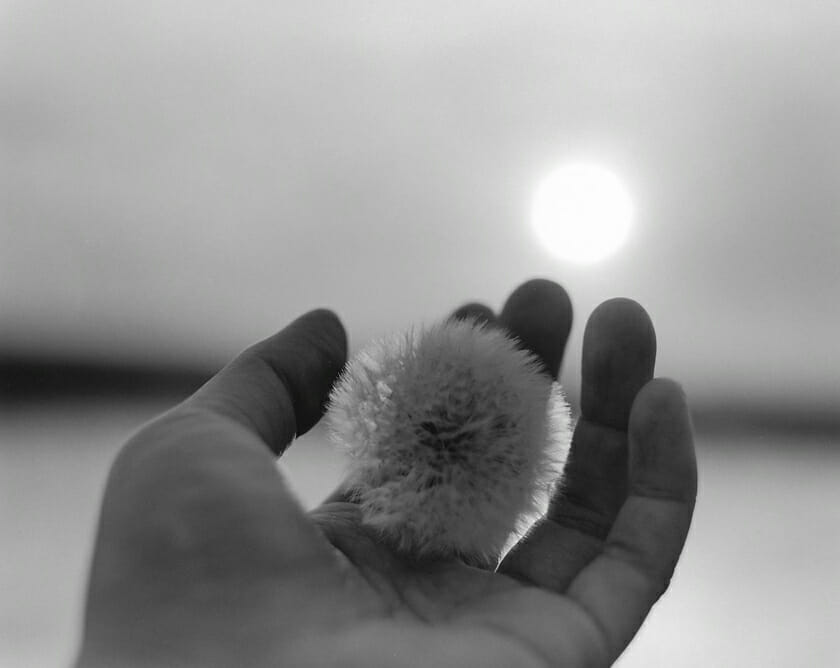 ©Masako Tomiya