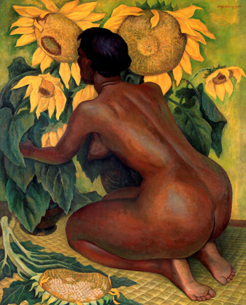 ディエゴ・リベラ《裸婦とひまわり》1946 年/ベラクルス州立美術館蔵/ Museo de Arte del Estado de Veracruz / © 2017 Banco de México Diego Rivera Frida Kahlo Museums Trust, Mexico, D.F. / Reproduction authorized by INSTITUTO NACIONAL DE BELLAS ARTES Y LITERATURA 2017.