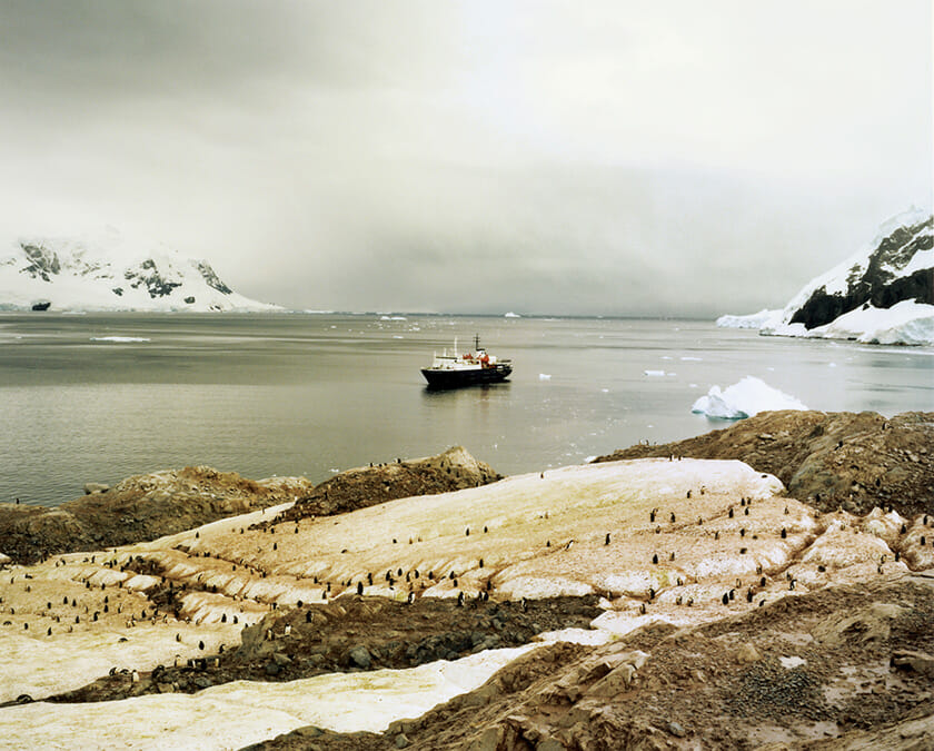 「ANTARCTICA」2011年