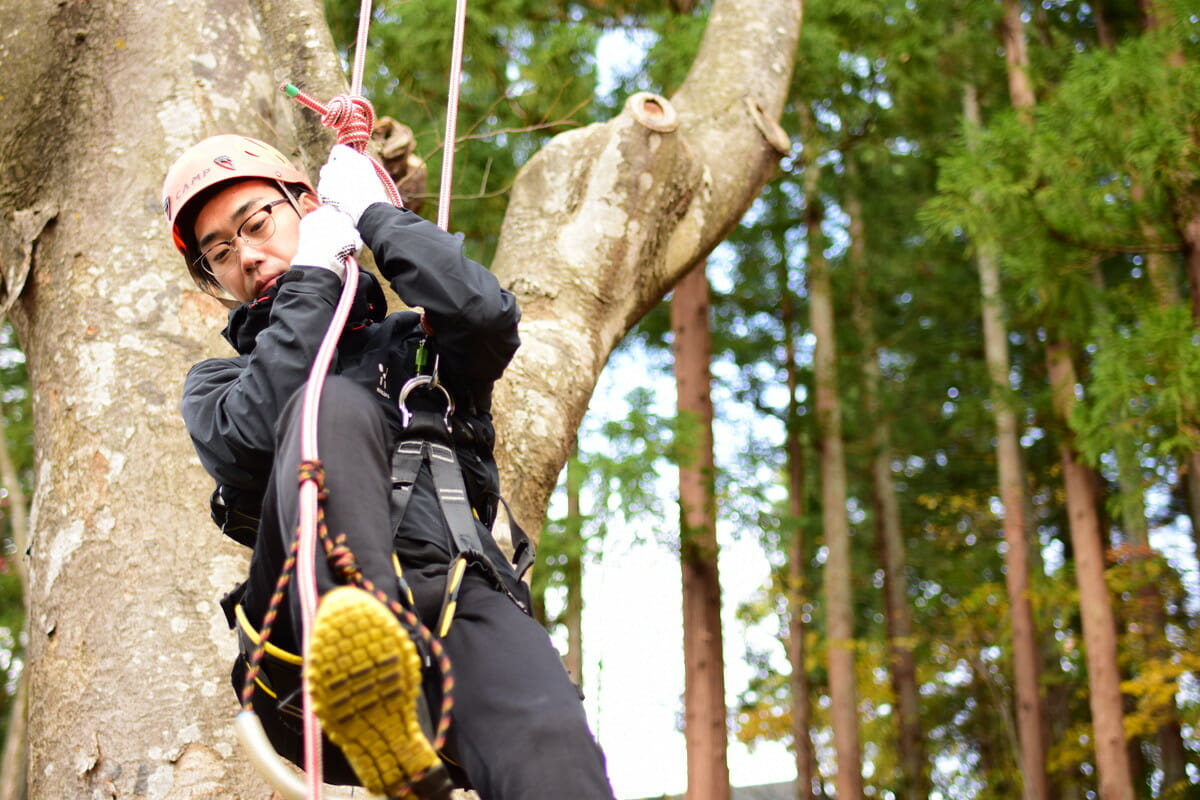 鈴木さんのおすすめ「ツリークライミング・ツリーイング」。専用ロープとハーネスをつなぐロープワークシステムで木を登っていく新感覚のアウトドアレジャー[