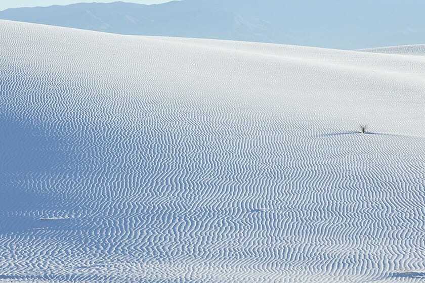 Dune Portraiture by Yoshihiro Makino