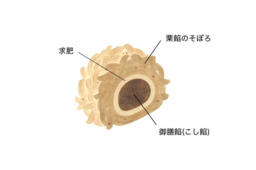 断面図