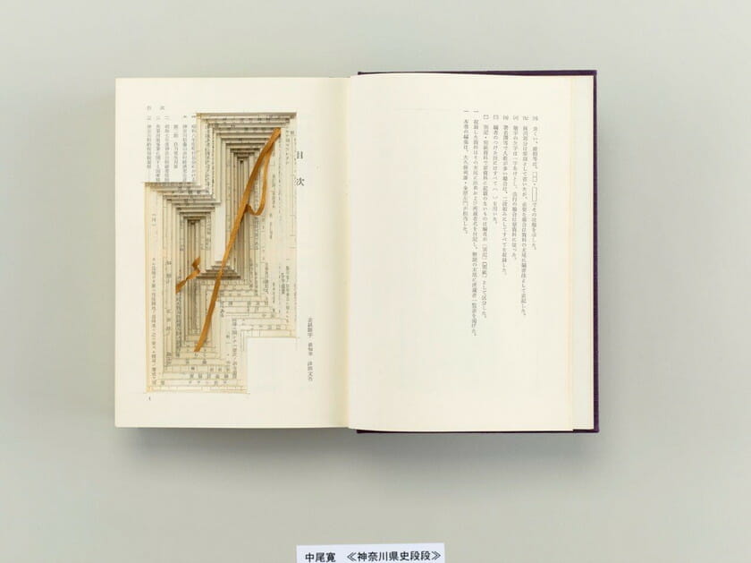 中尾寛《神奈川県史段段》2016年 うらわ美術館蔵
