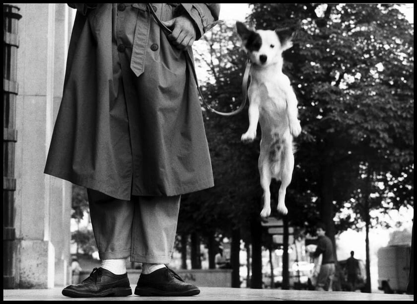 Paris, 1989 © Elliott Erwitt / Magnum Photos