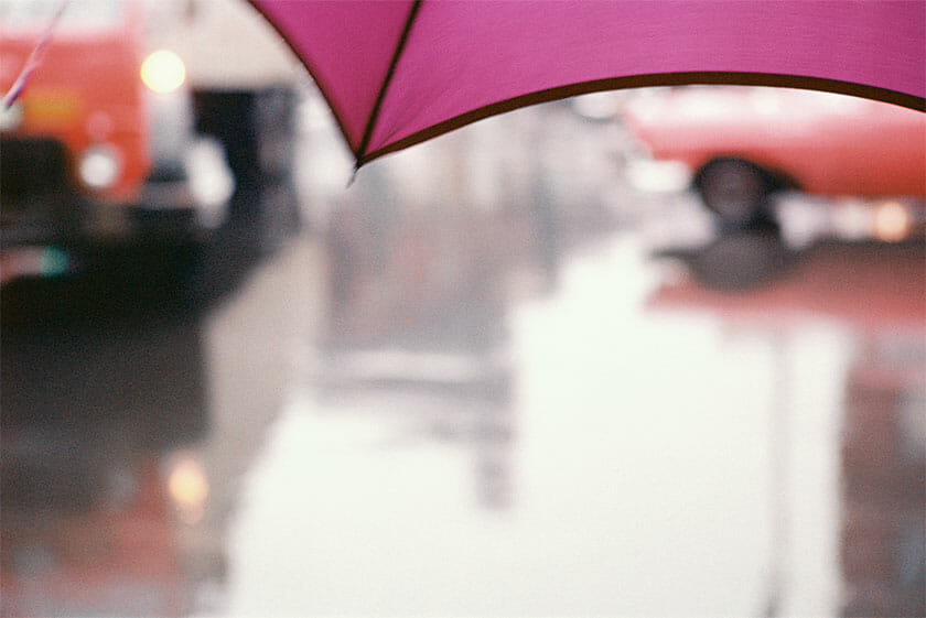 ソール・ライター《薄紅色の傘》1950年代、発色現像方式印画 ⒸSaul Leiter Foundation