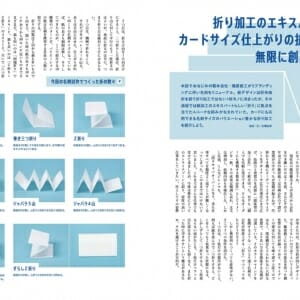 デザインのひきだし40 (2)