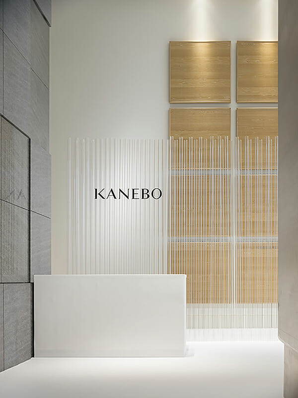 KANEBO (3)