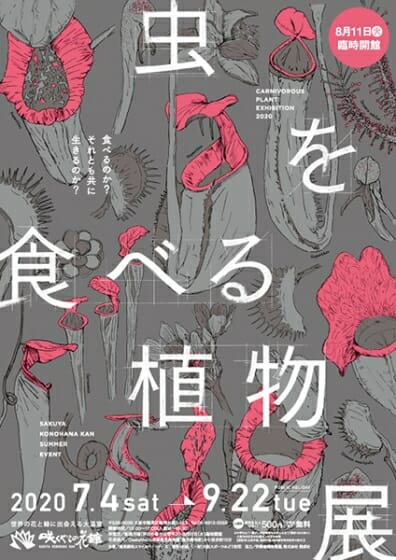 虫を食べる植物展 2020