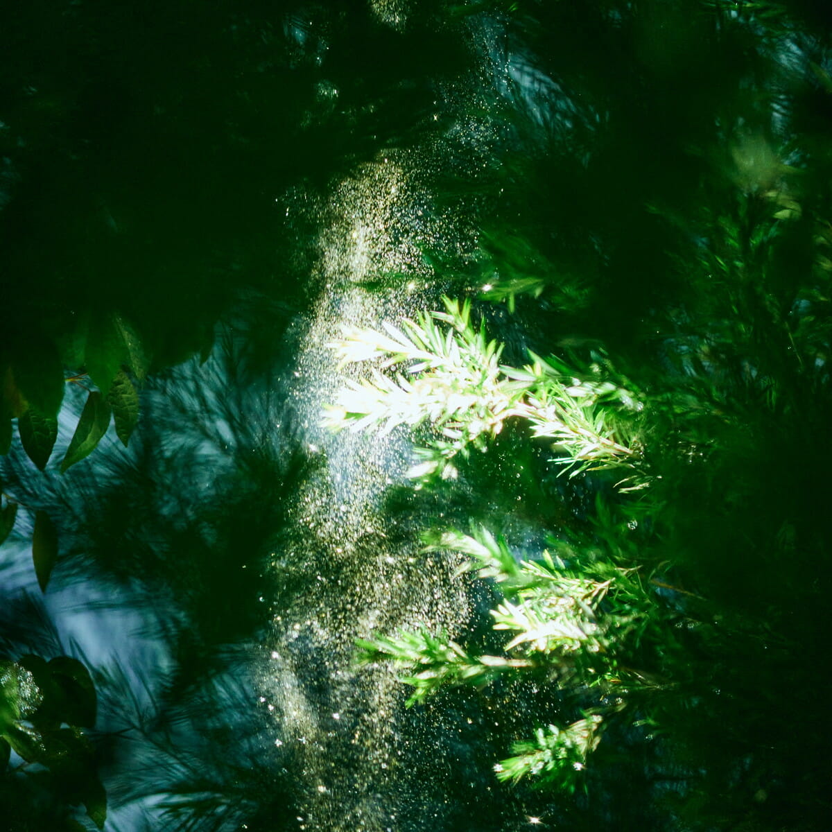 034737423fff718b34685960736e10