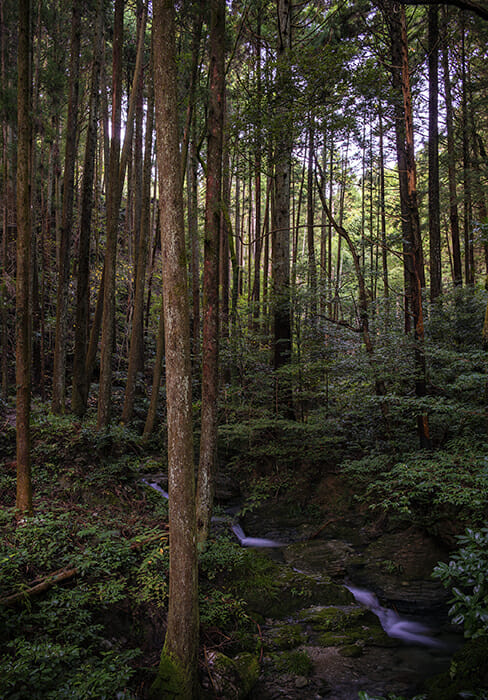 神山のサウナ (6)