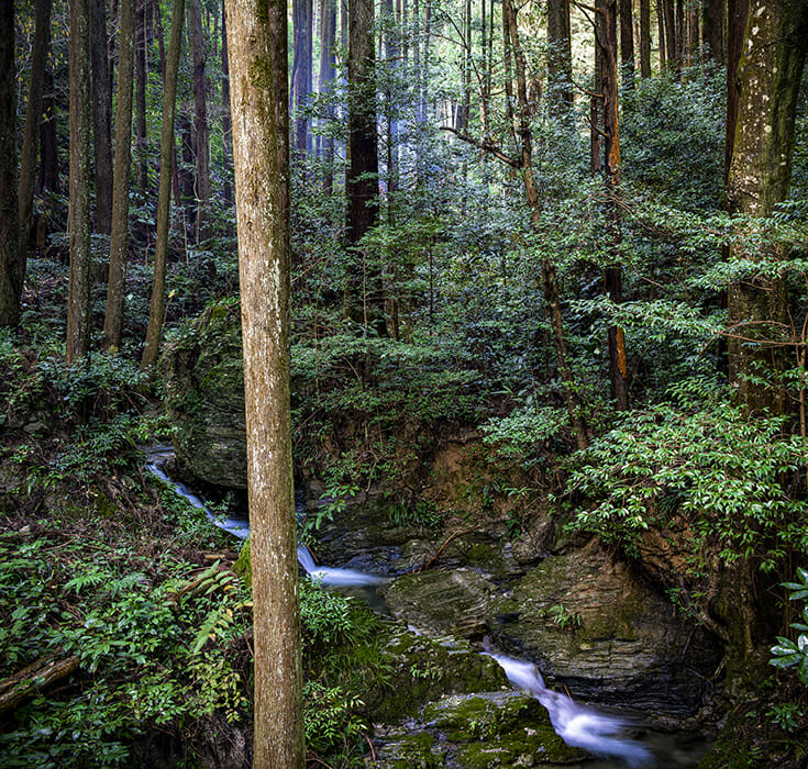 神山のサウナ (7)