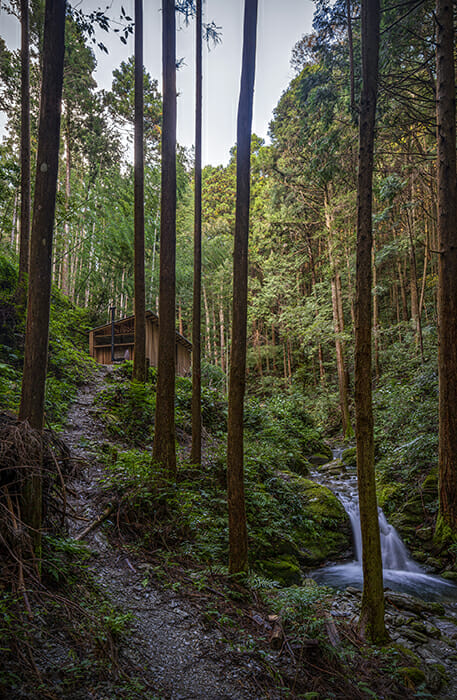 神山のサウナ (3)