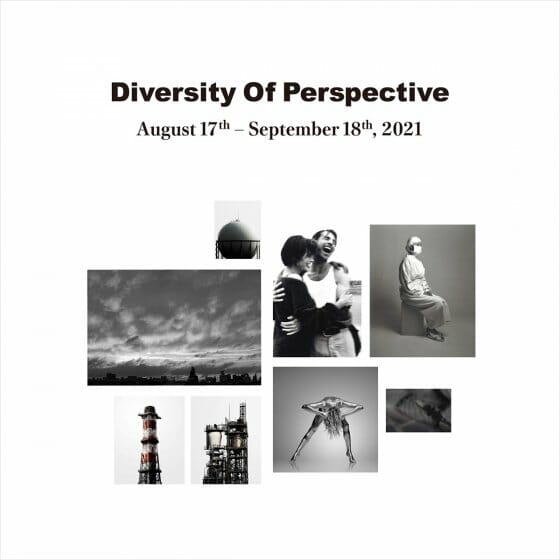 Diversity of Perspective