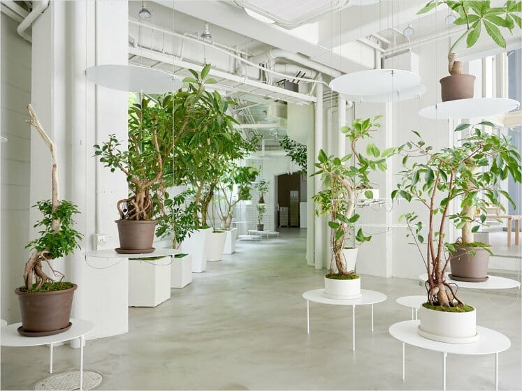 NOSIGNERが空間設計を手がけた観葉植物専門店「REN」が、リニューアルオープン