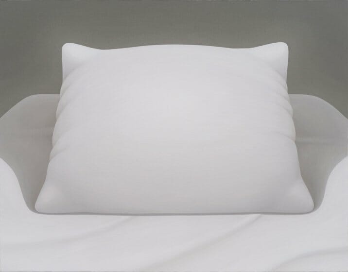 小林孝亘《Pillow》2021年、油彩、カンヴァス、91.0x117.0cm（作家蔵）