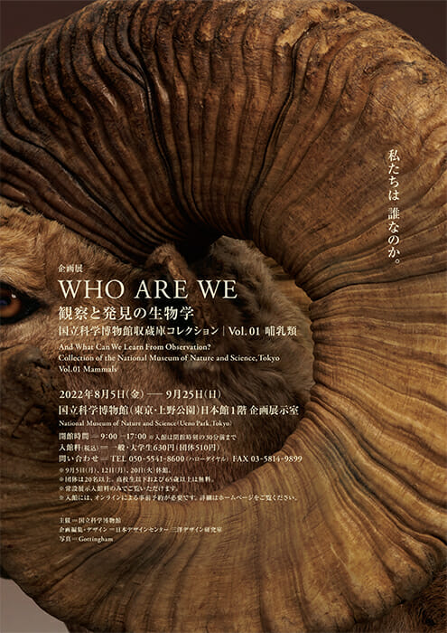 テーマは「観察の眼、発見の芽」、動物標本コレクション展「WHO ARE WE 観察と発見の生物学」が8月5日から開催