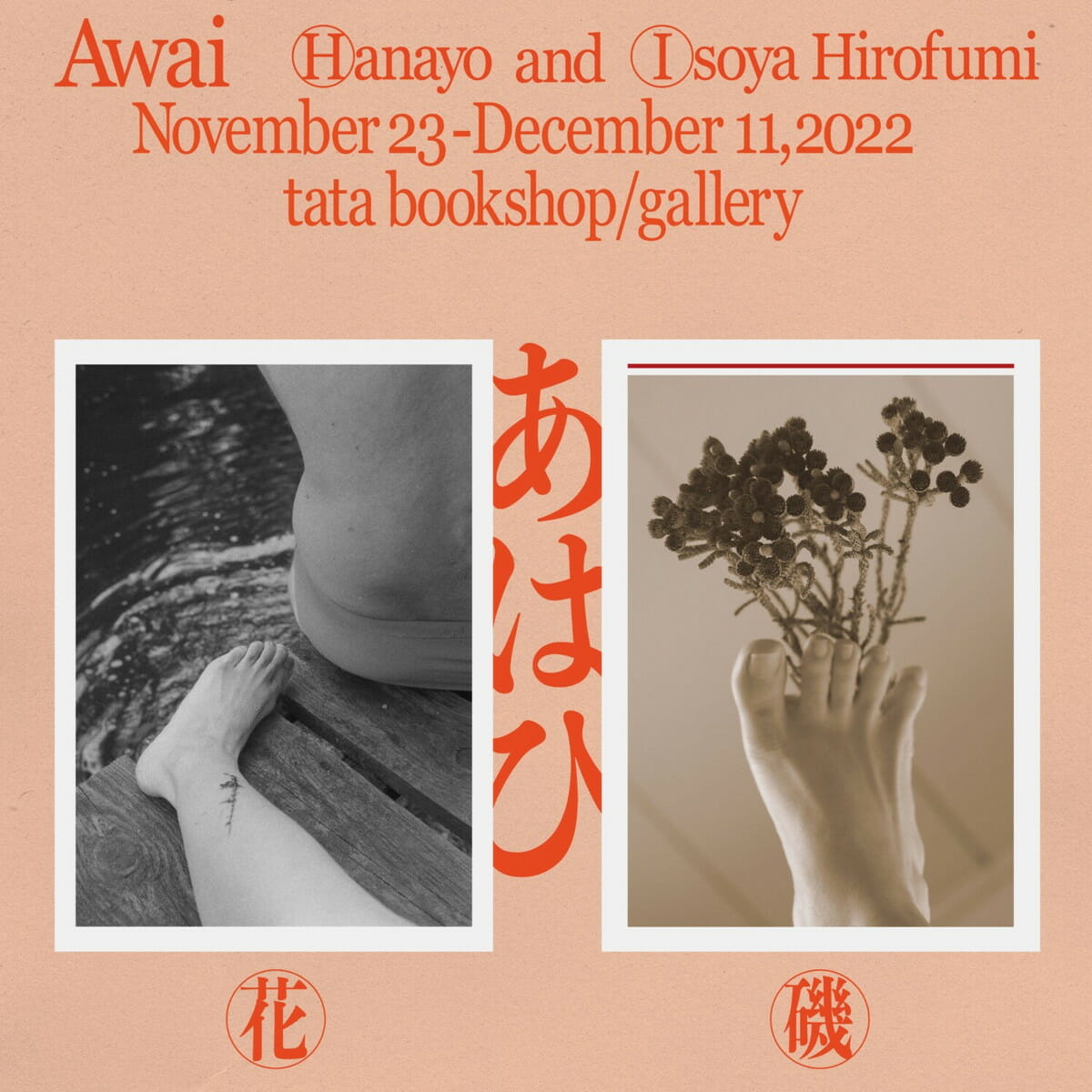 【signed】あはひ / 花代・磯谷博史 [cover: A] 88部限定 花代・磯谷博史「あはひ」 - デザイン・アートの展覧会