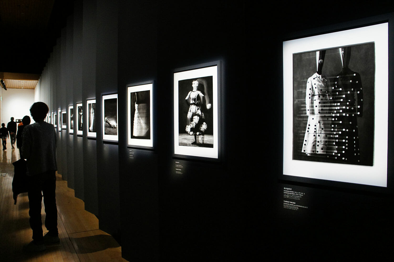 高木由利子さんが「クリスチャン・ディオール、夢のクチュリエ」展のために撮り下ろした写真