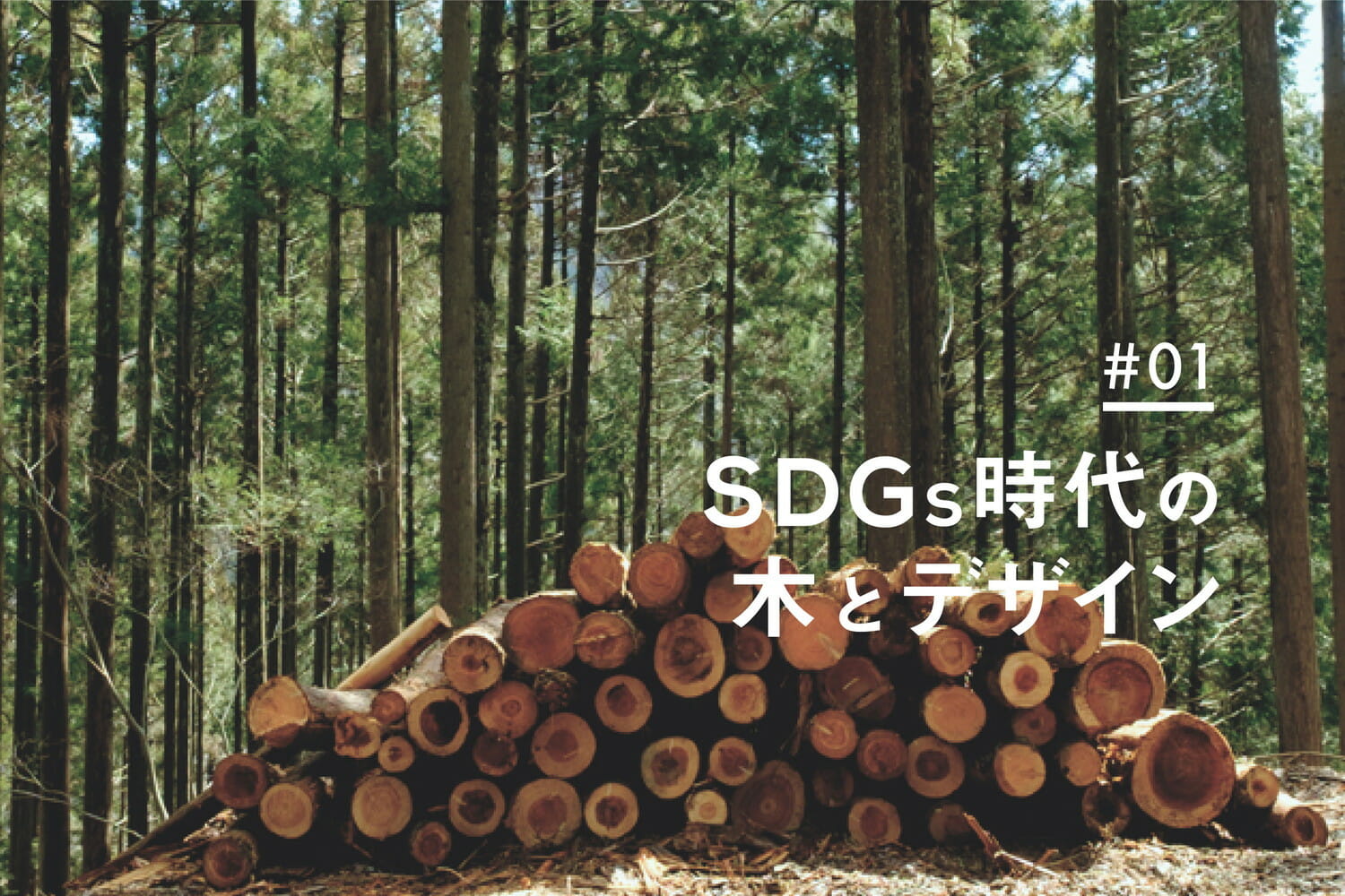 【SDGs時代の木とデザイン】第1回：木材はサステナブルなのか？