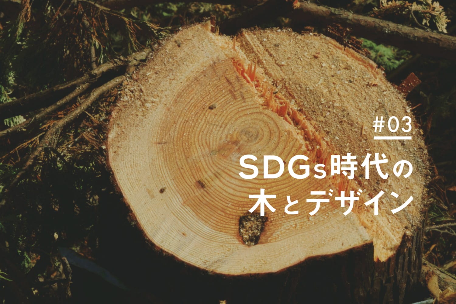 【SDGs時代の木とデザイン】第3回：森林認証とクリーンウッド法