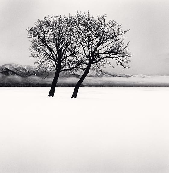 Dancing Trees, Kussharo Lake, Hokkaido 2020 ©Michael Kenna