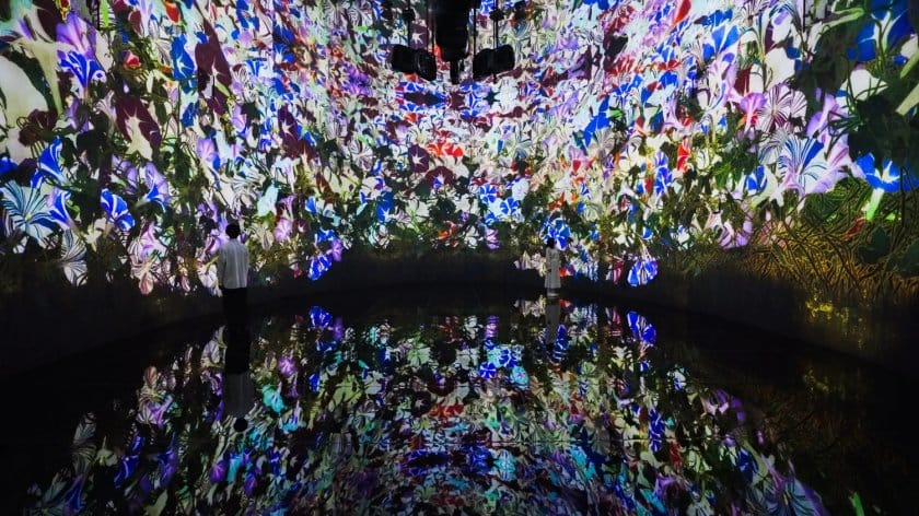 チームラボが、新作「教会跡に増殖する無量の生命- A Whole Year per Year」を札幌の新美術館で5月2日より展示