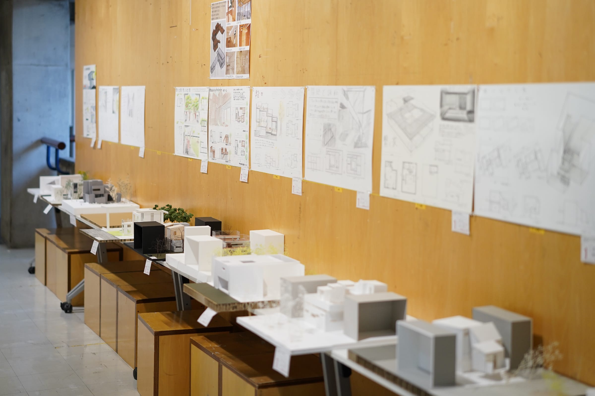 1年次の模型を展示