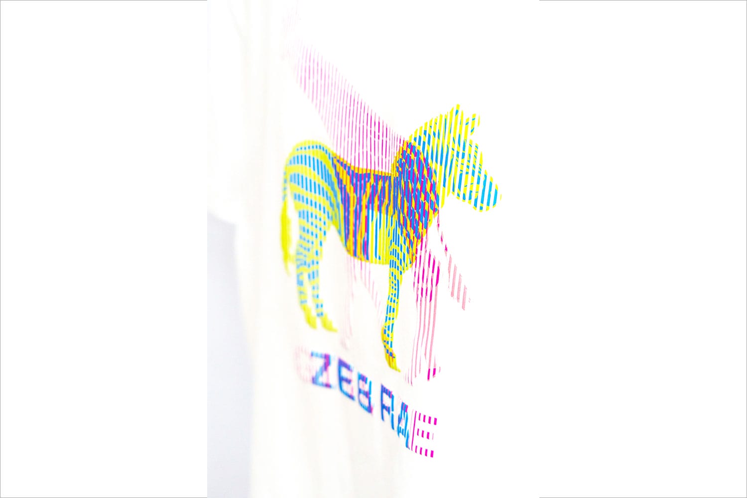 LENTICULAR PRINT (8)