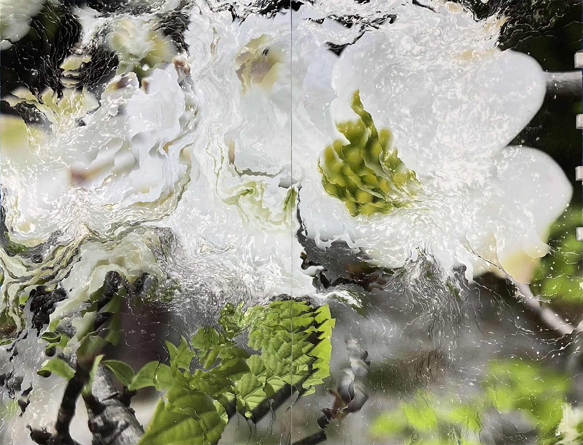 《Cornus florida linn》2025 年|©Nerhol Courtesy of Yutaka Kikutake Gallery
