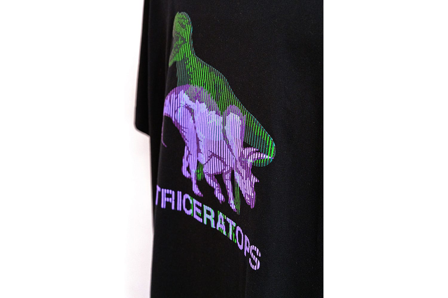 LENTICULAR PRINT (6)
