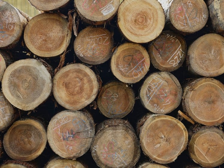 Hands-on Heritage Chizu