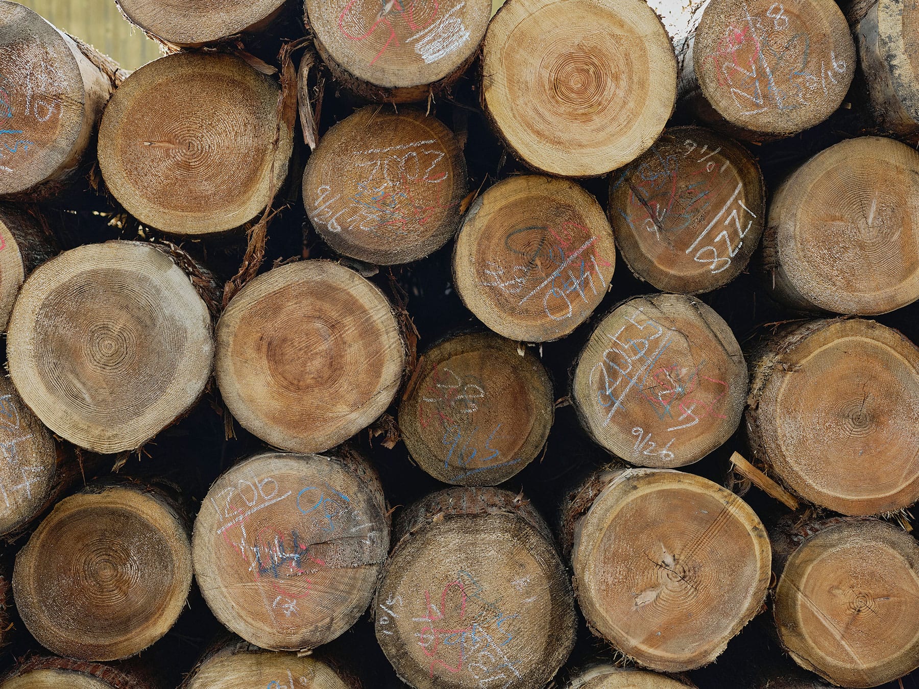 Hands-on Heritage Chizu