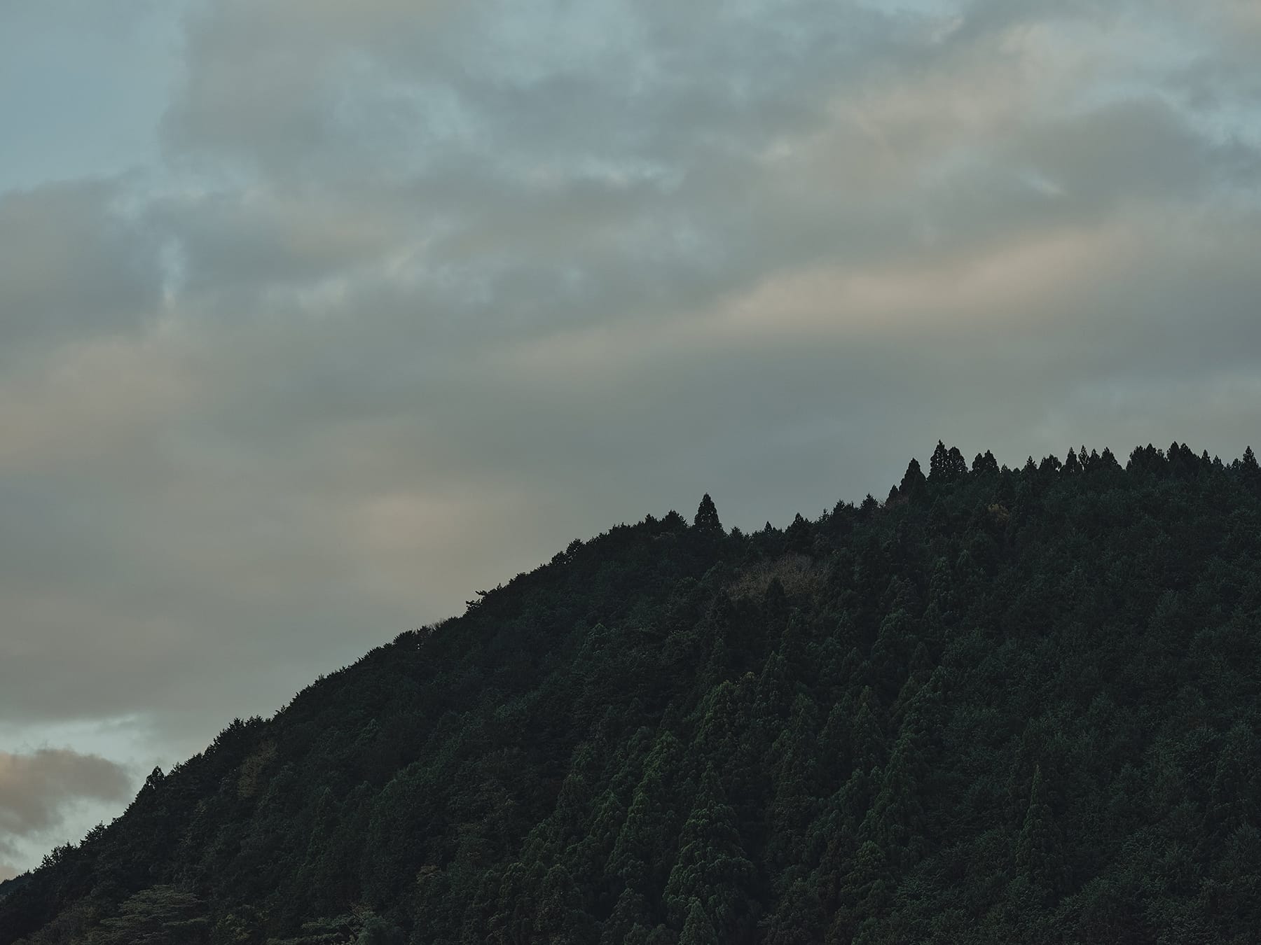 Hands-on Heritage Chizu (5)