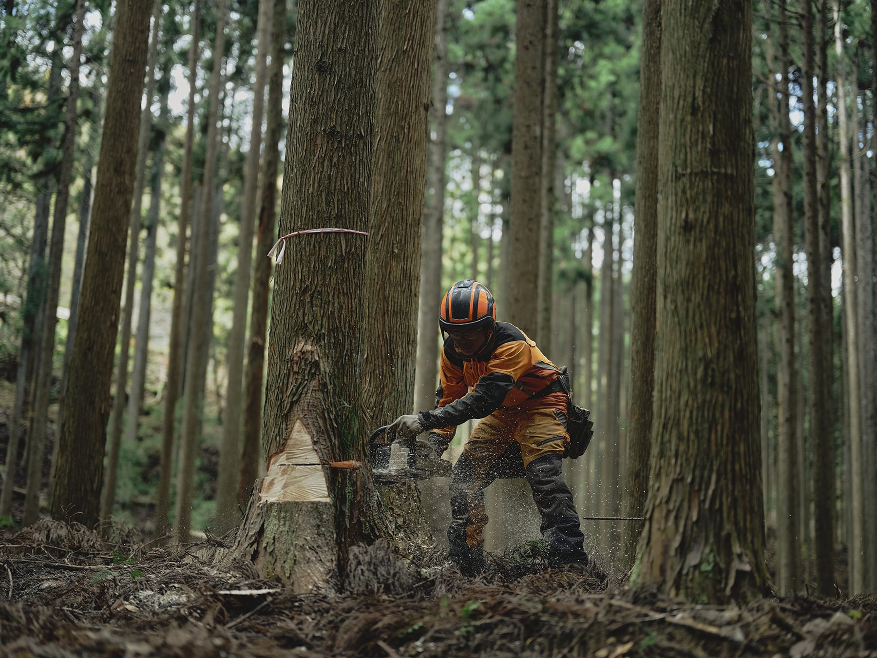 Hands-on Heritage Chizu (3)