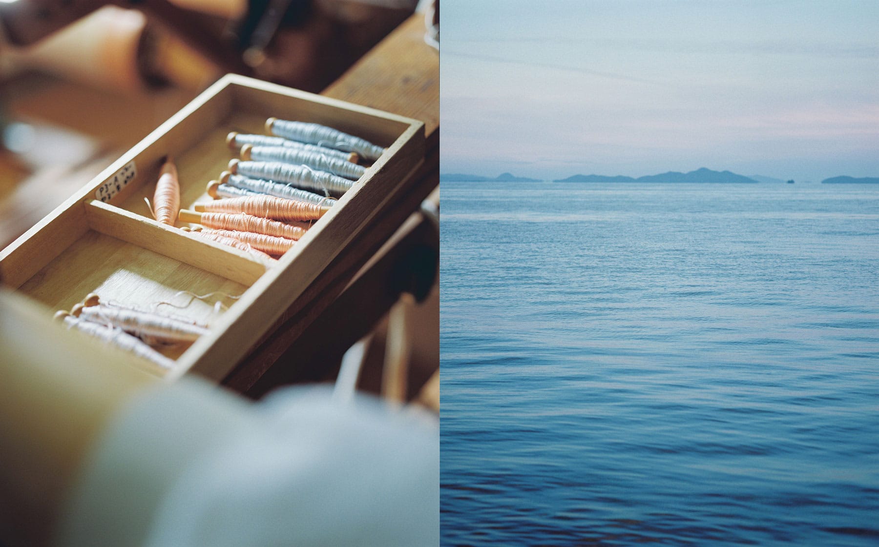 写真 : Yuya Shiokawa