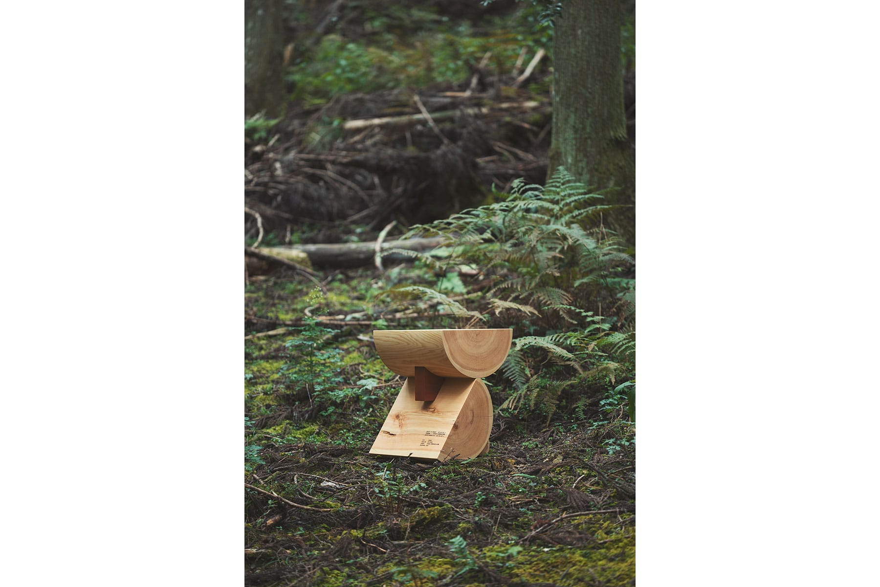 OBJECT⇄FOREST (5)