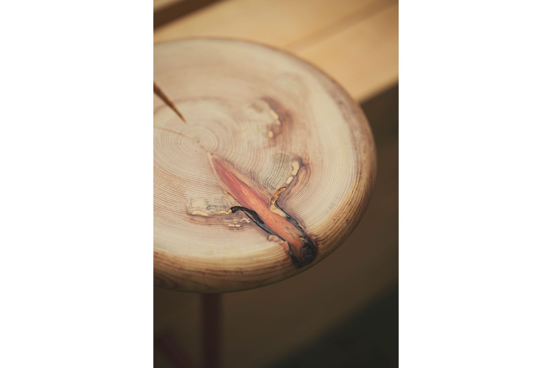 OBJECT⇄FOREST (11)