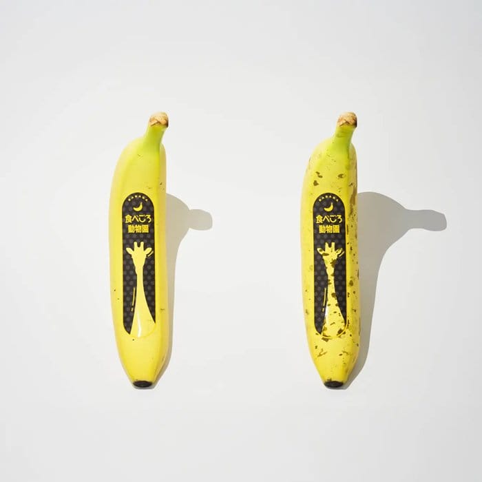 大賞受賞作品「食べごろ動物園」