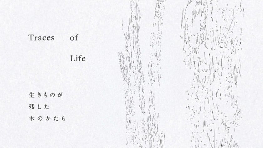 Traces of Life ― 生きものが残した木のかたち ―