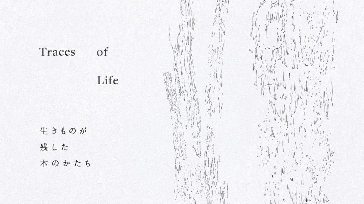 Traces of Life ― 生きものが残した木のかたち ―