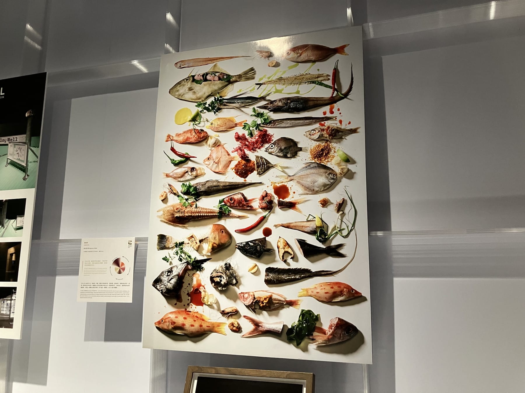 多種多様な魚を使った料理のグラフィックの展示